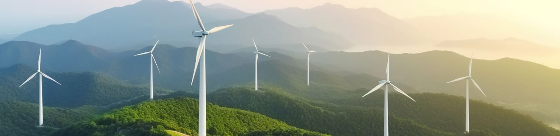 引领风光循环产业新篇章，共筑可持续发展的梦想